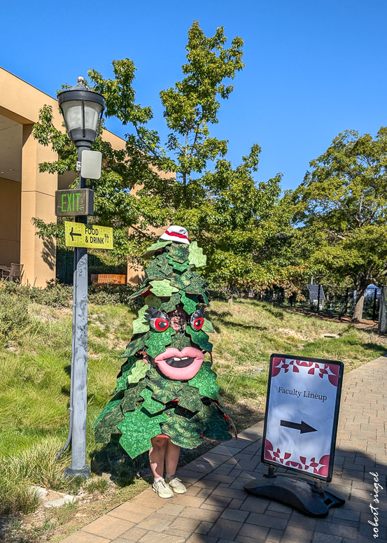 Stanford Homecoming 2024